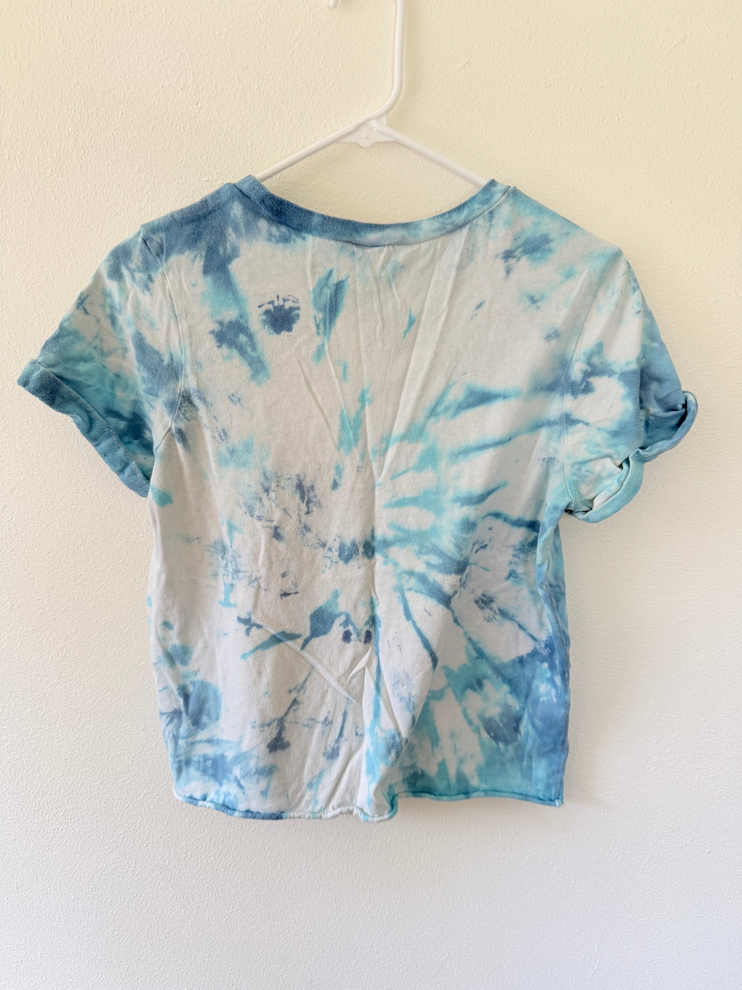 Wisconsin Cropped T-Shirt