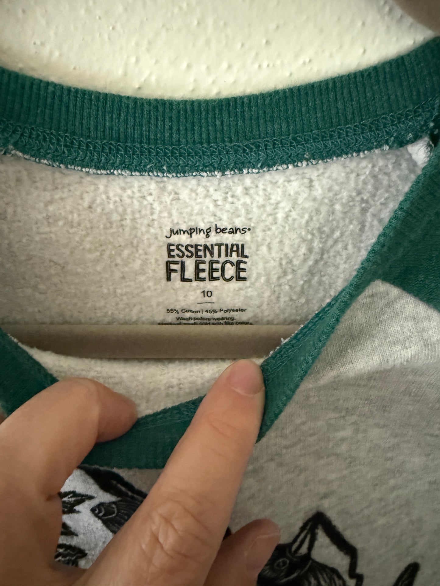 Kids Wisconsin Sweatshirt