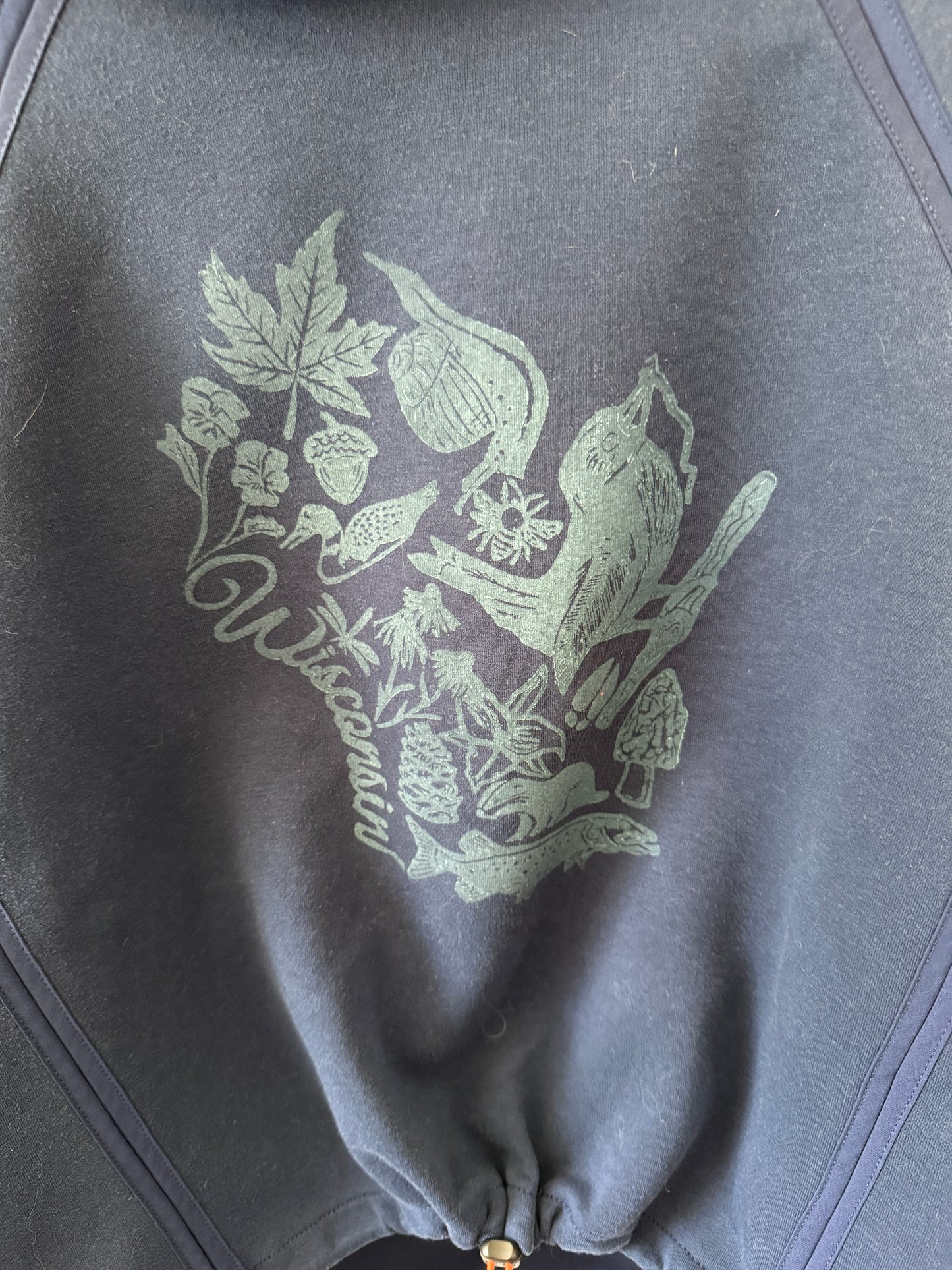 Wisconsin Hoodie