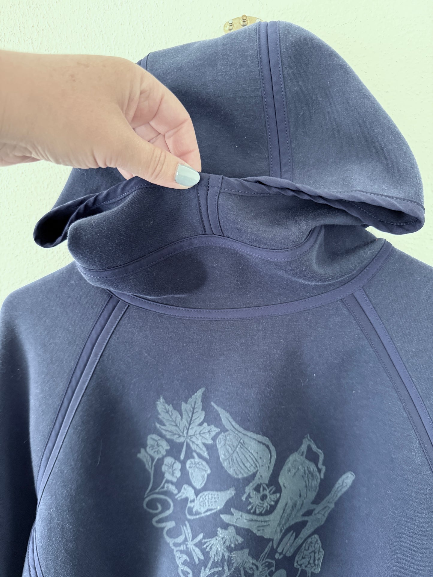 Wisconsin Hoodie